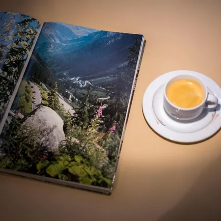 Silberberger - 酒店 4*