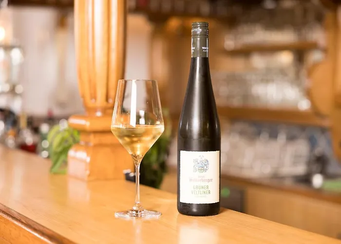 Hotel Silberberger -